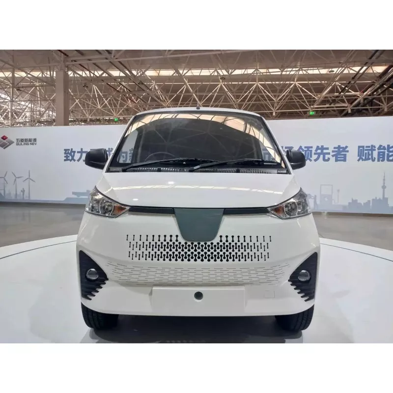 Mini Van Elektrîkî çi ye?